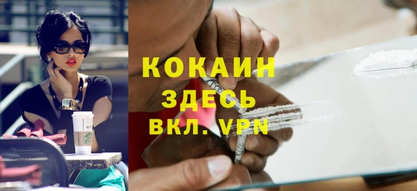 spice Ельня