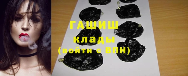 spice Ельня