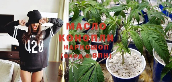 spice Ельня