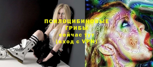 мдма Елизово