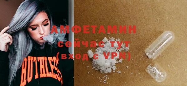 spice Ельня