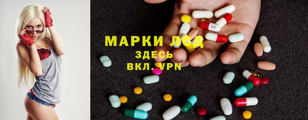 spice Ельня