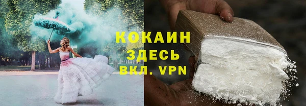 spice Ельня