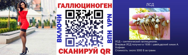 Галлюциногенные грибы прущие грибы  Павловская 