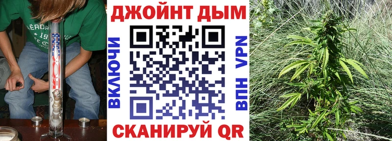 Бошки Шишки семена  Павловская 
